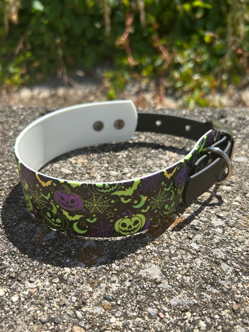 Biothane Collar -L2